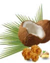Cocobrits + Ginger