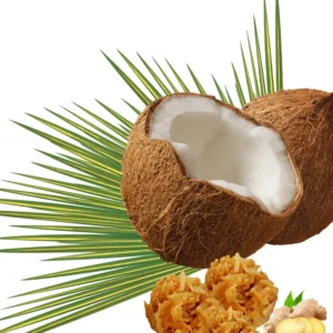 Cocobrits Ginger Cocobrits + Ginger