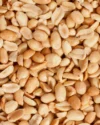 Lightly Salt Roasted Peanuts